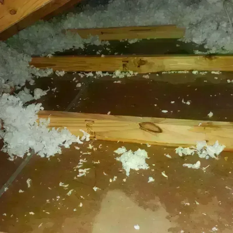 Attic Water Damage in Bedford, PA